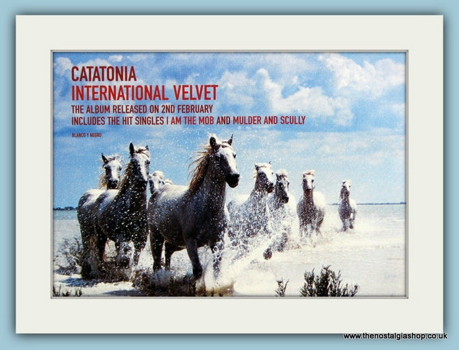 Catatonia International Velvet Original Advert 1998 (ref AD1869