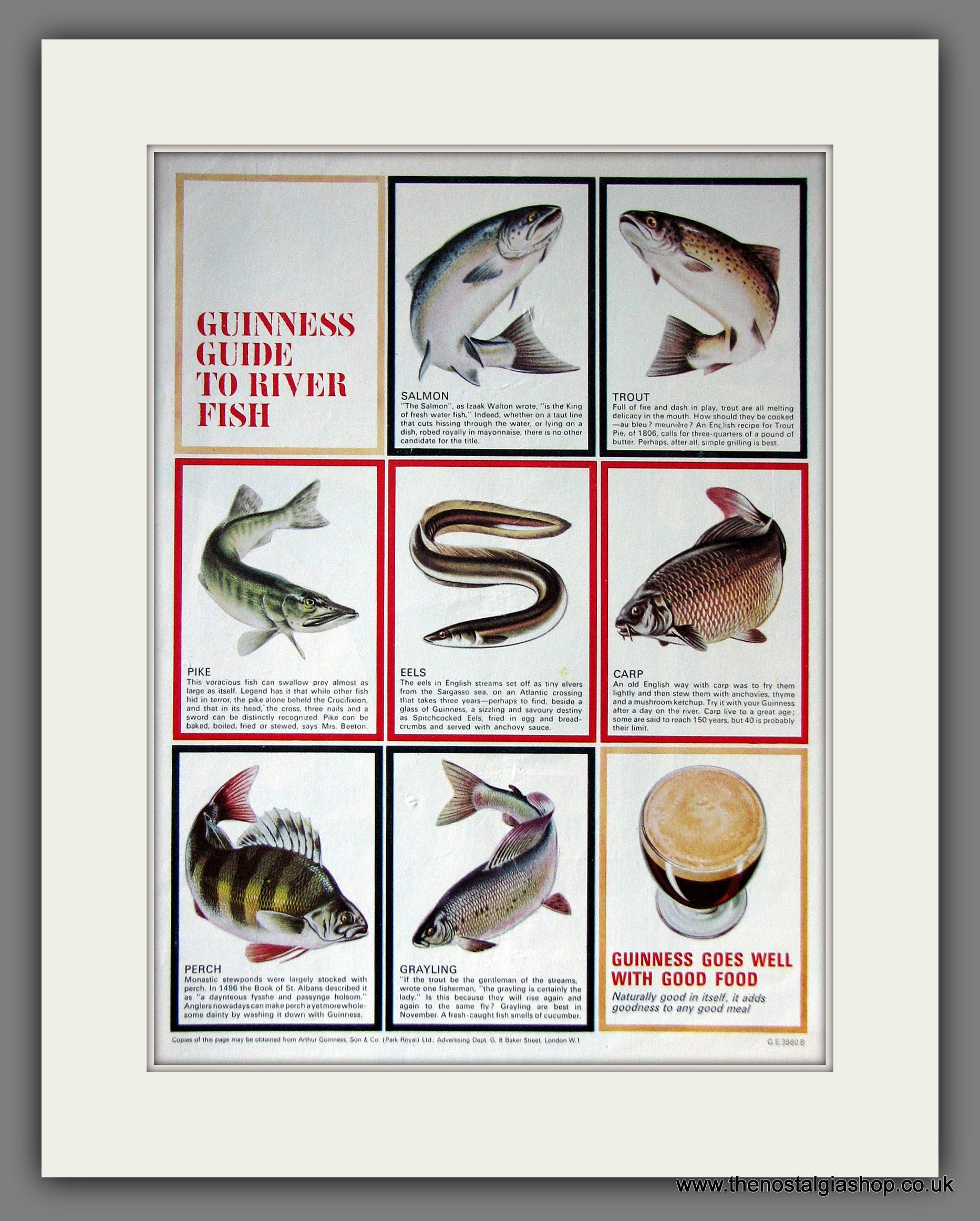 Guinness Guide To River Fish. 1965 Original Advert (ref AD56329) – The  Nostalgia Shop