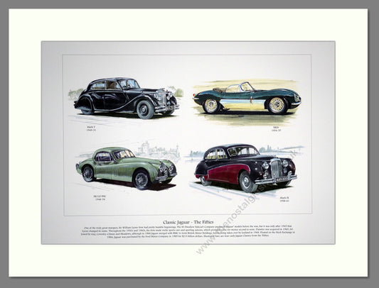 Jaguar Classics, the 1950s  Mounted Print