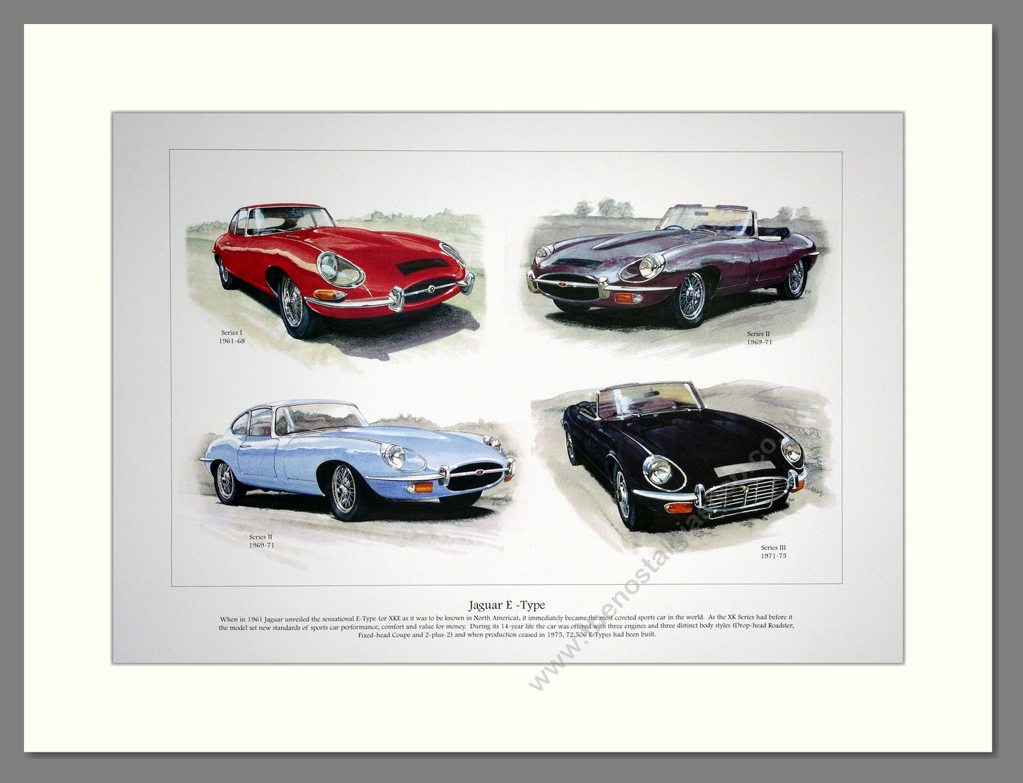 Jaguar  E - Type  Mounted Print