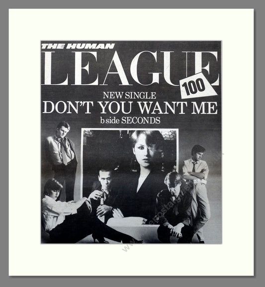 Human League Don't You Want Me. Original Advert 1981 (ref AD15664)