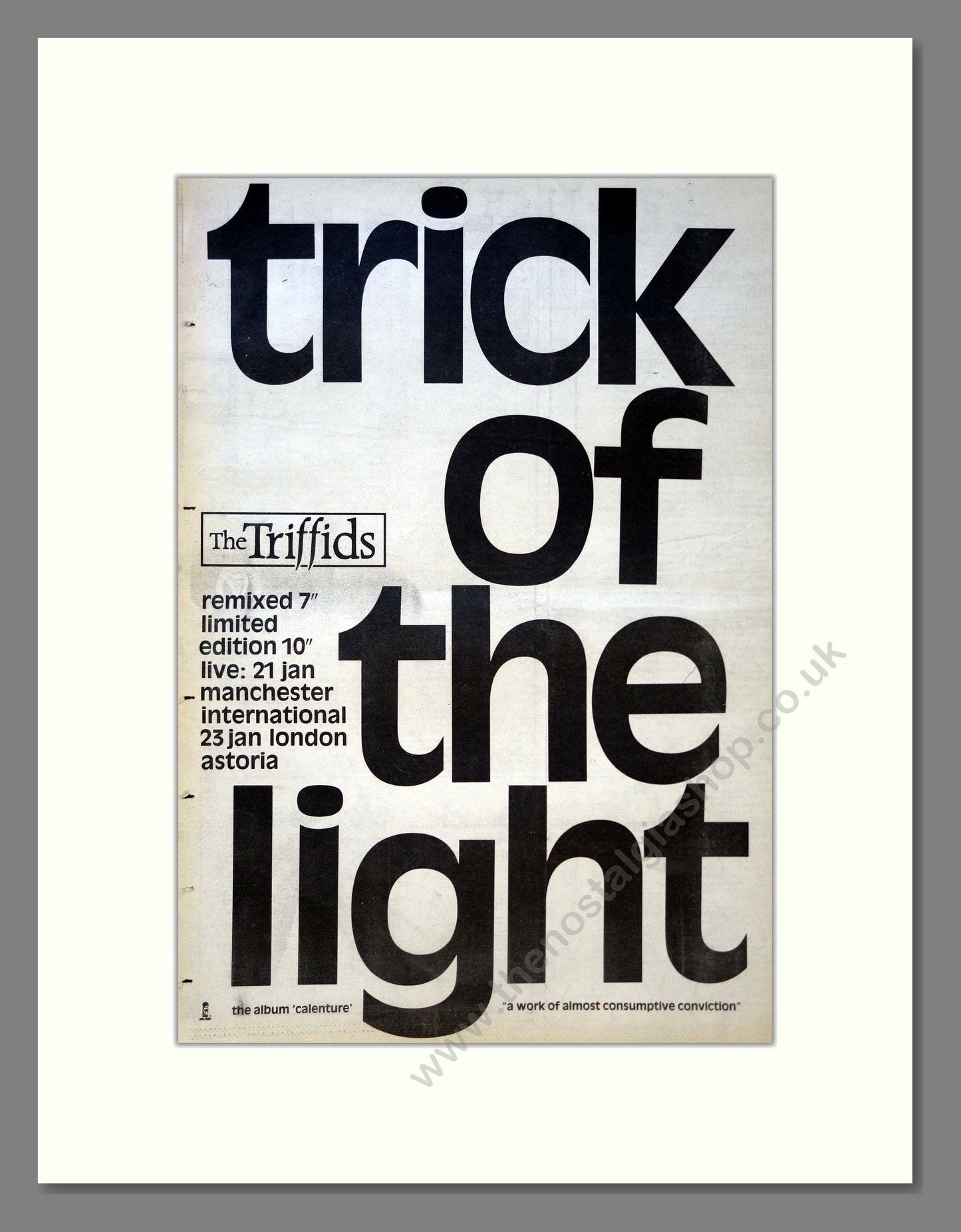 Triffids (The) - Trick Of The Light. Vintage Advert 1988 (ref AD18090)