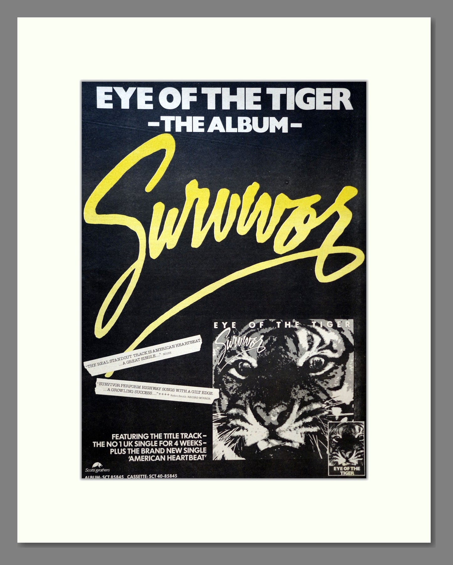 Survivor - Eye Of The Tiger. Vintage Advert 1982 (ref AD18143)