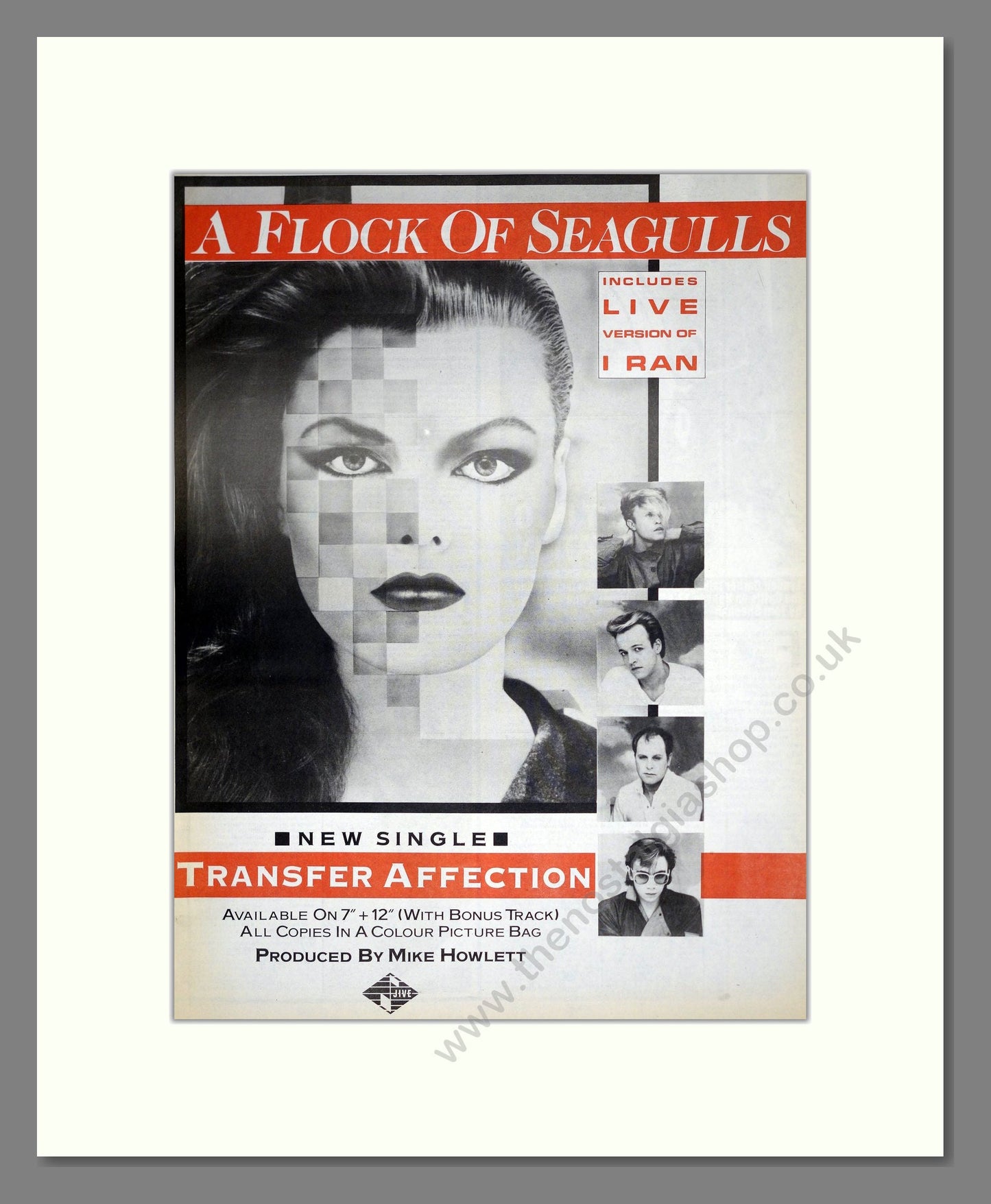 Flock Of Seagulls (A) - Transfer Affection. Vintage Advert 1983 (ref AD18736)