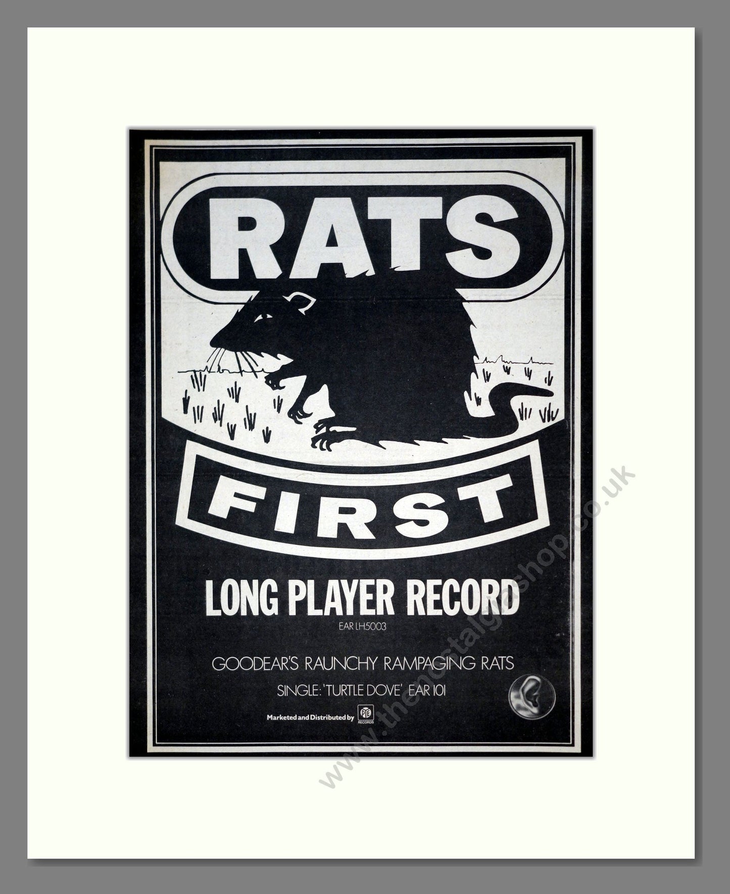 Rats (The) - Turtle Dove. Vintage Advert 1974 (ref AD18998)