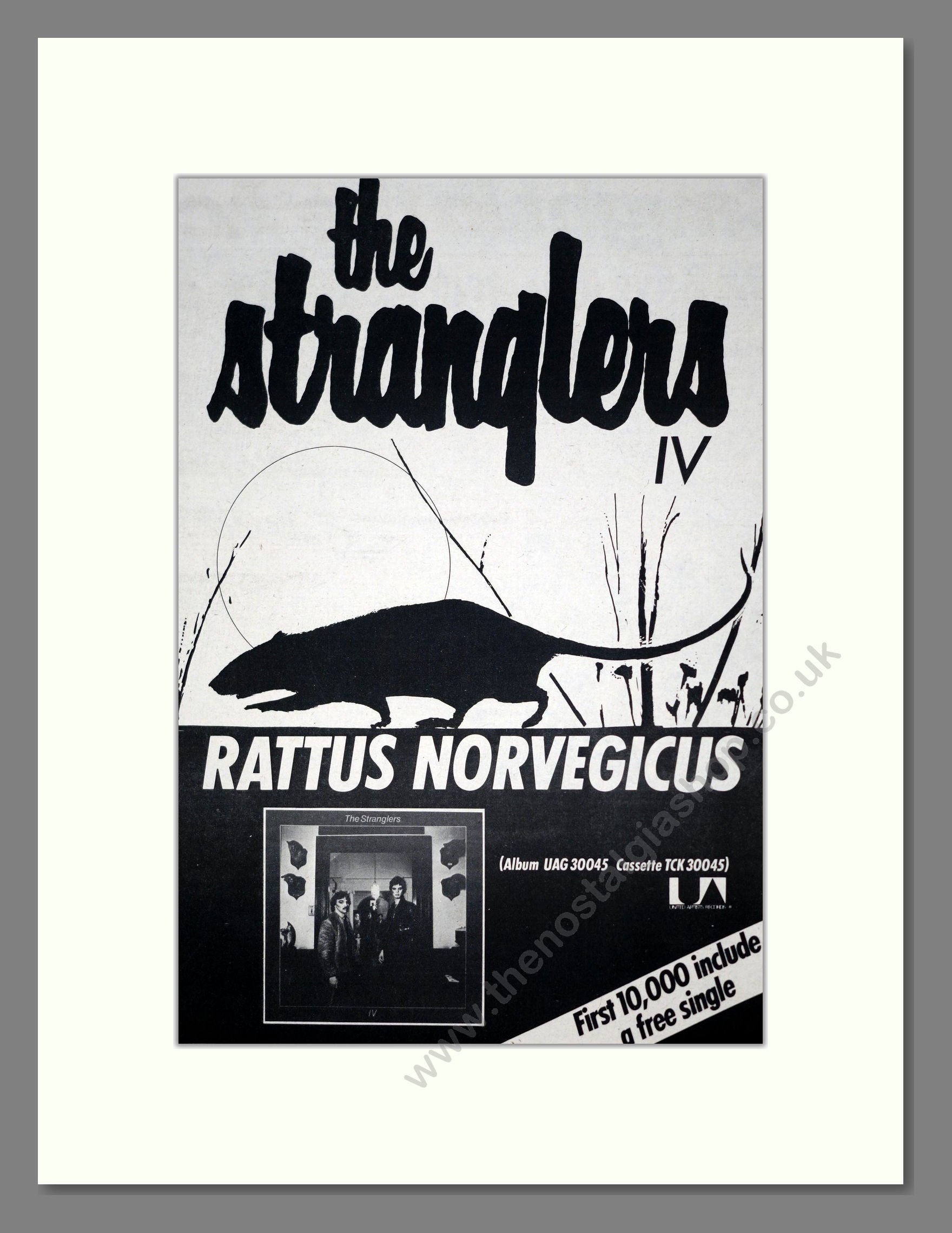 Stranglers (The) - Rattus Norvegicus. Vintage Advert 1977 (ref AD19115)