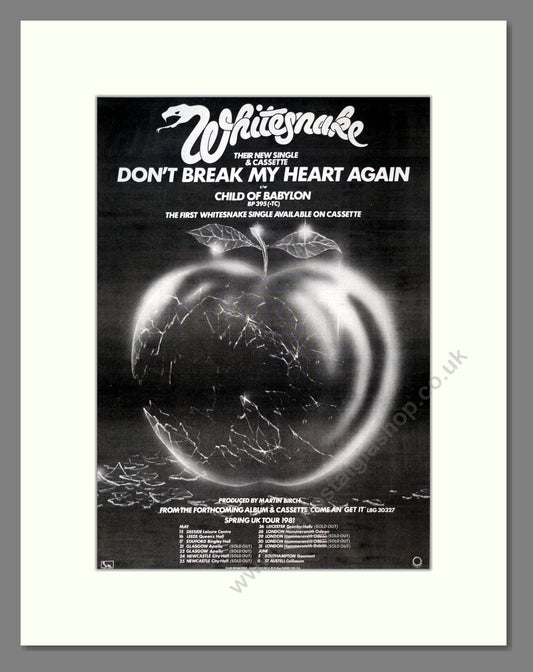 Whitesnake - Don't Break My Heart Again. Vintage Advert 1981 (ref AD19226)