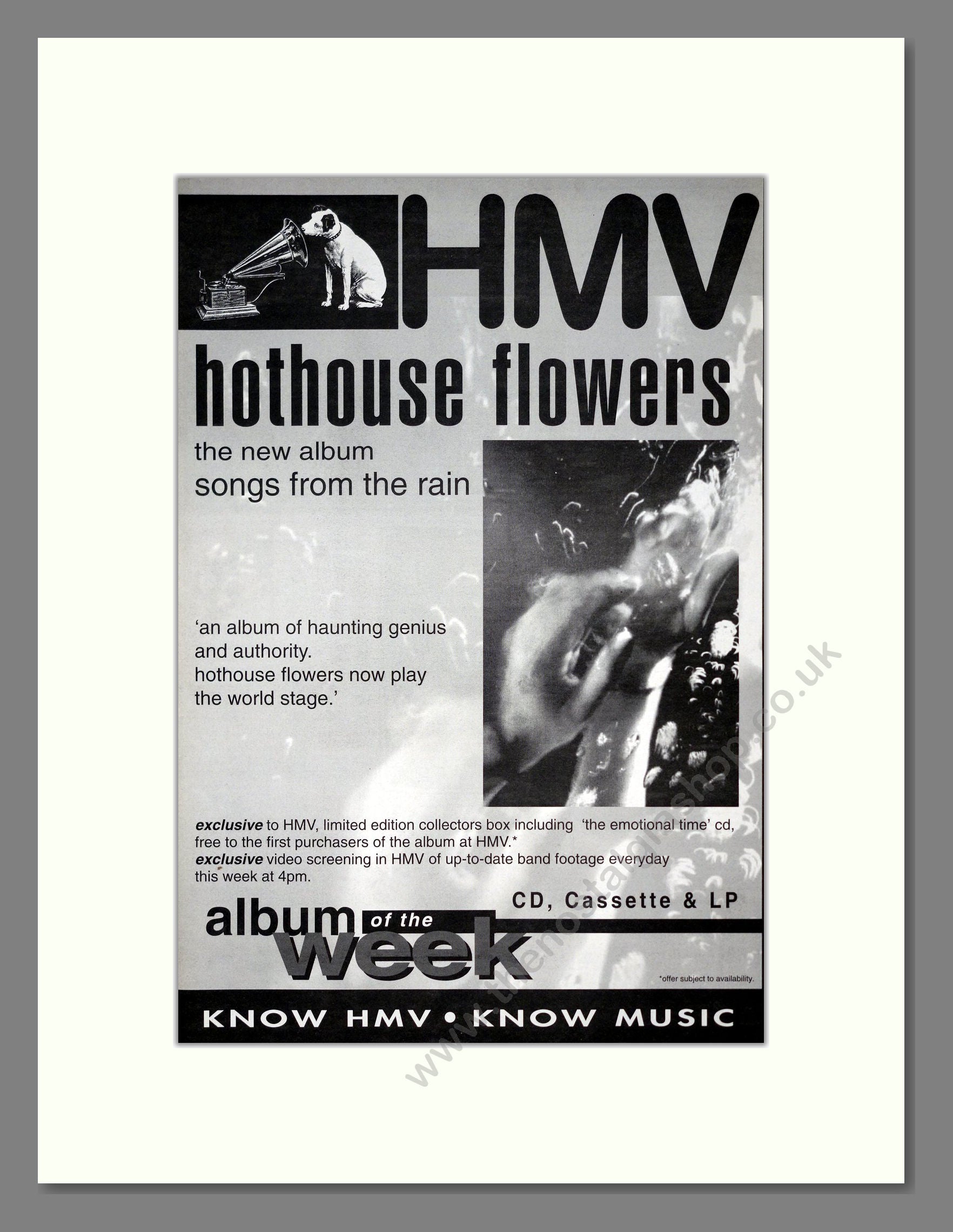 Hothouse Flowers - Songs From The Rain. Vintage Advert 1993 (ref AD19252)