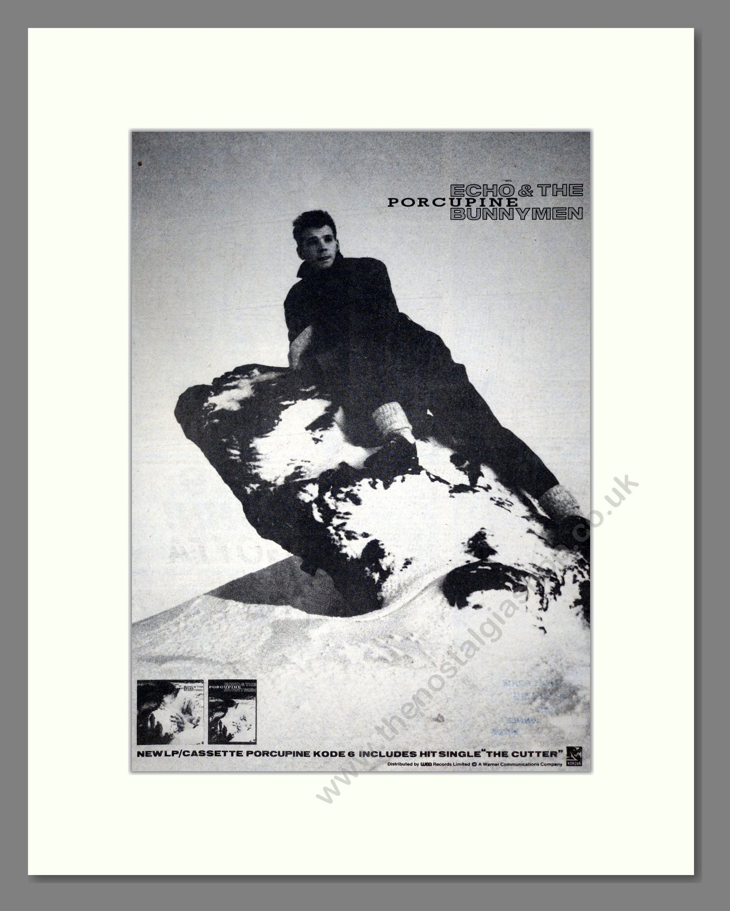 Echo And The Bunnymen - Porcupine. Vintage Advert 1983 (ref AD19280)