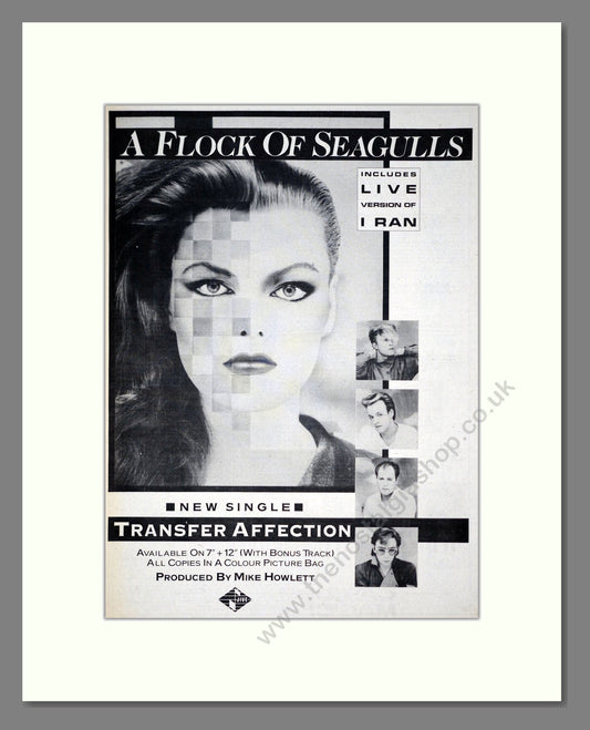 Flock Of Seagulls (A) - Transfer Affection. Vintage Advert 1983 (ref AD19462)