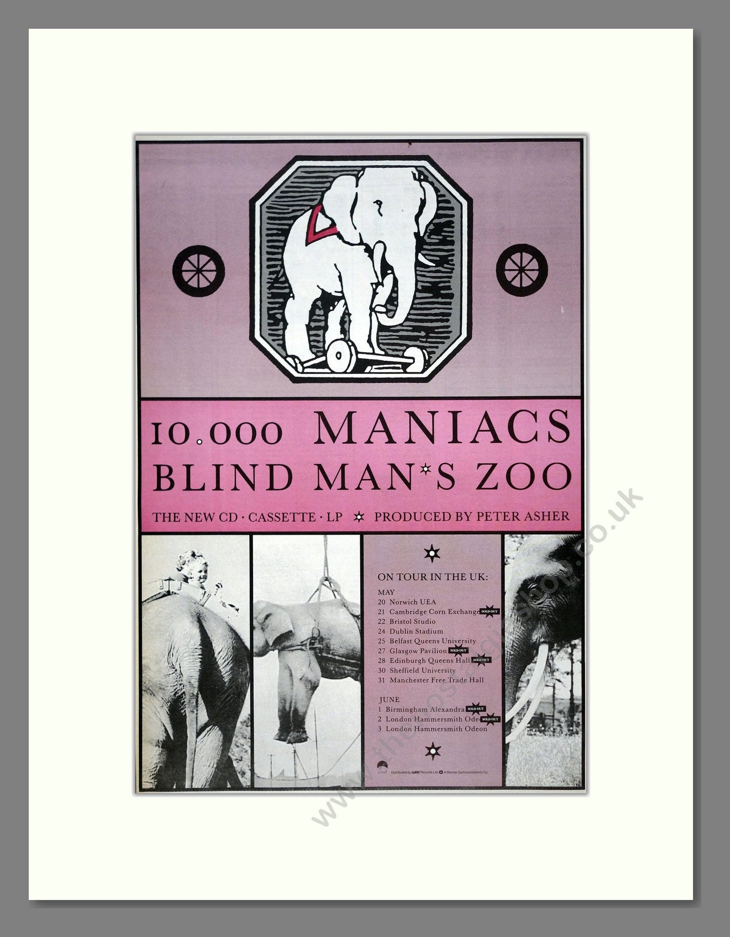 10,000 Maniacs - Blind Man's Zoo. Vintage Advert 1989 (ref AD19544)