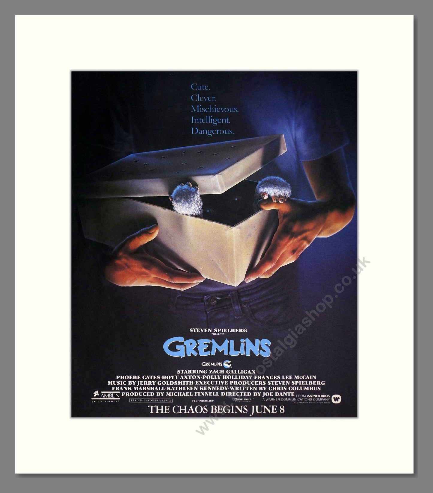 Gremlins - Stephen Spielberg. Vintage Advert 1984 (ref AD302224)