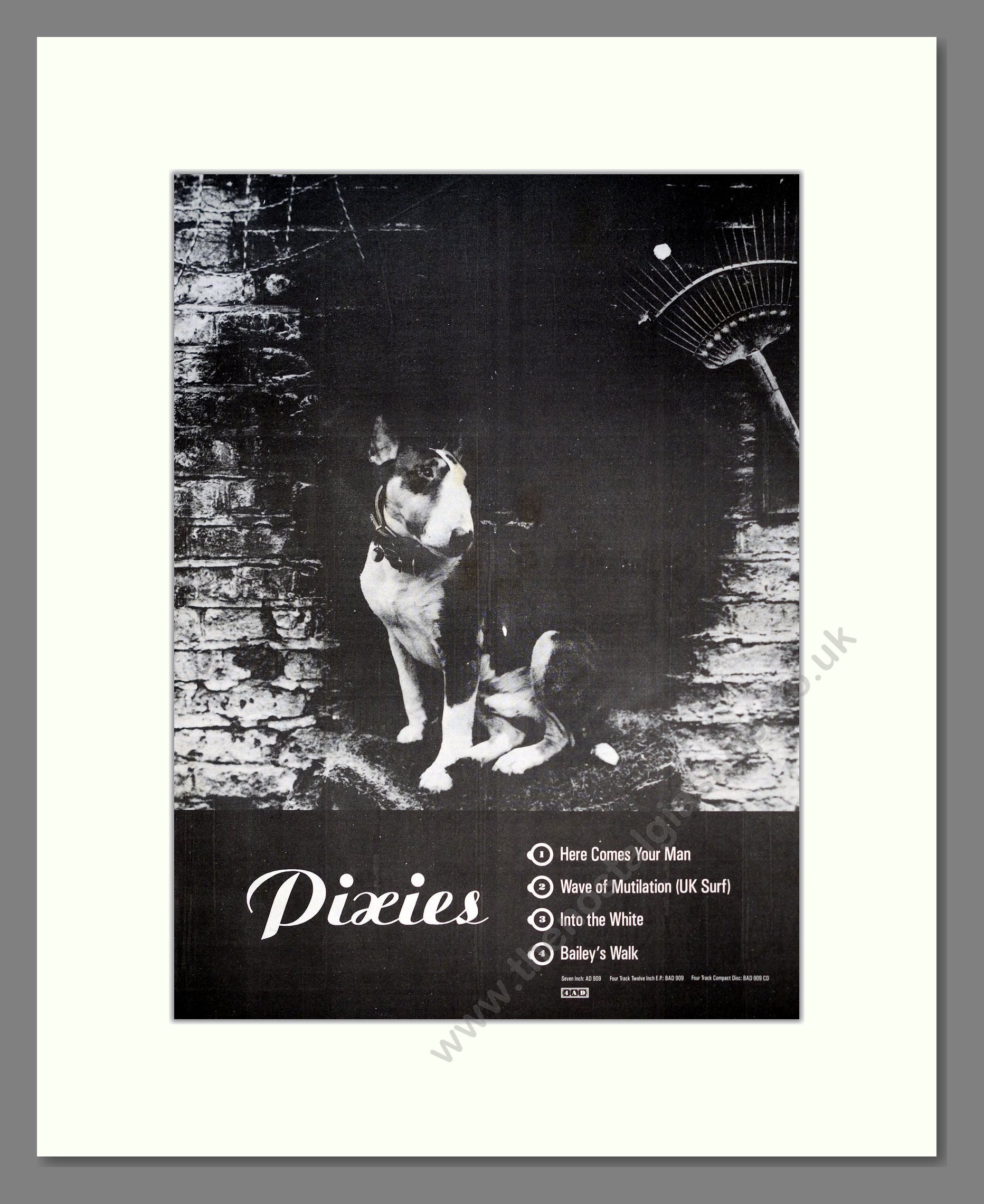 Pixies - Here Comes Your Man. Vintage Advert 1989 (ref AD19640)