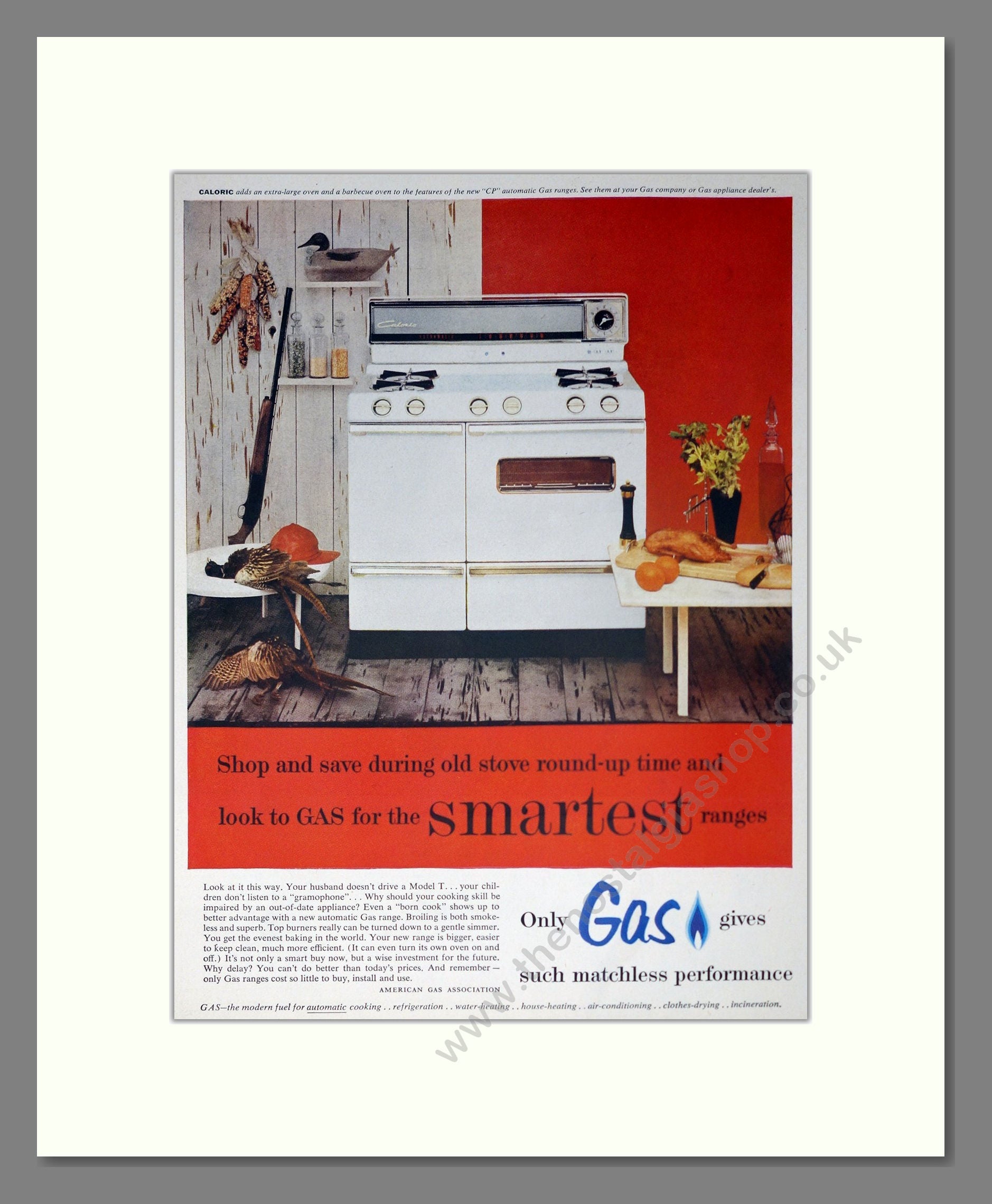 American Gas - Cookers. Vintage Advert 1955 (ref AD302560)