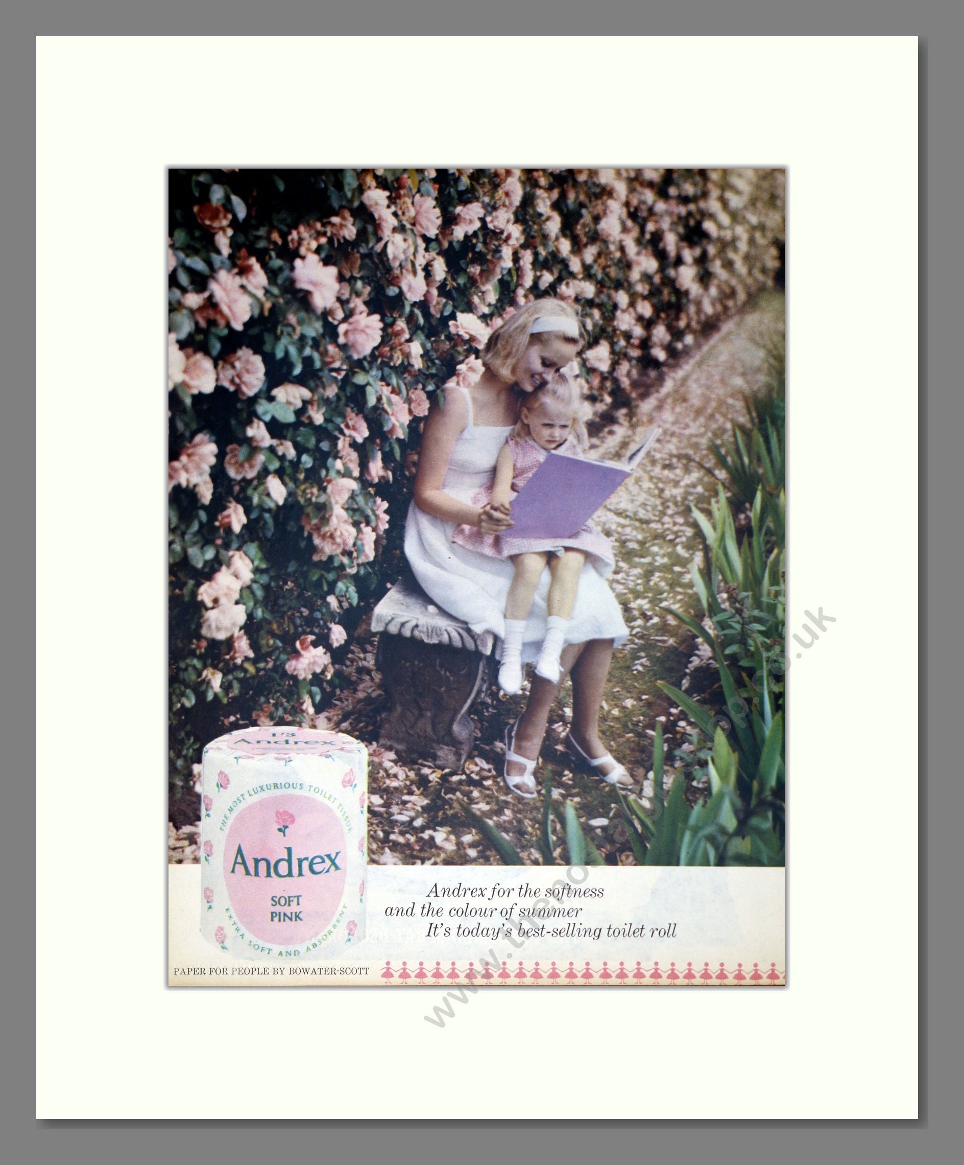 Andrex - Soft Pink Toilet Tissue. Vintage Advert 1963 (ref AD302890)