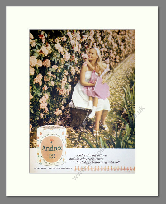 Andrex - Soft Pink Toilet Tissue. Vintage Advert 1963 (ref AD302896)