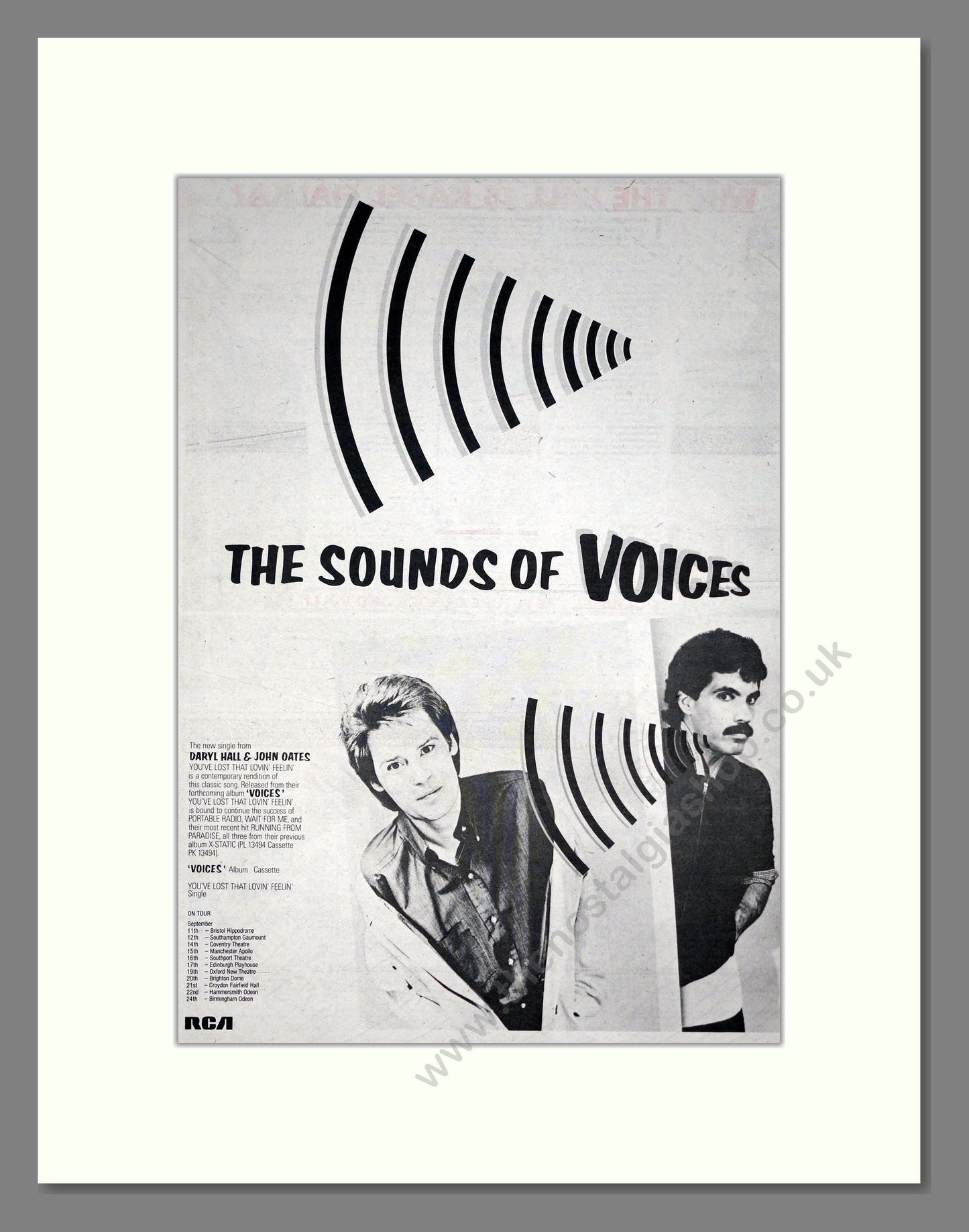 Hall And Oates - The Sounds Of Voices. Vintage Advert 1980 (ref AD19858)