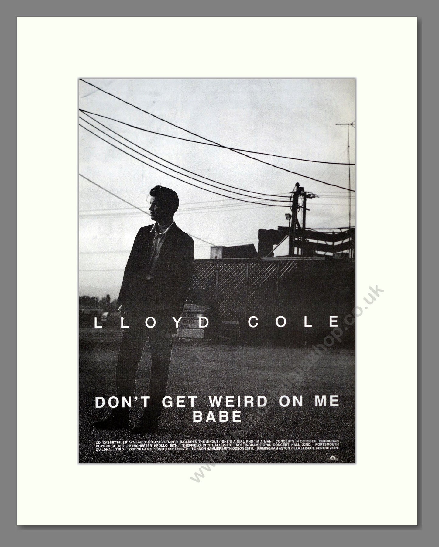 Lloyd Cole - Don't Get Weird On Me Babe. Vintage Advert 1991 (ref AD20052)