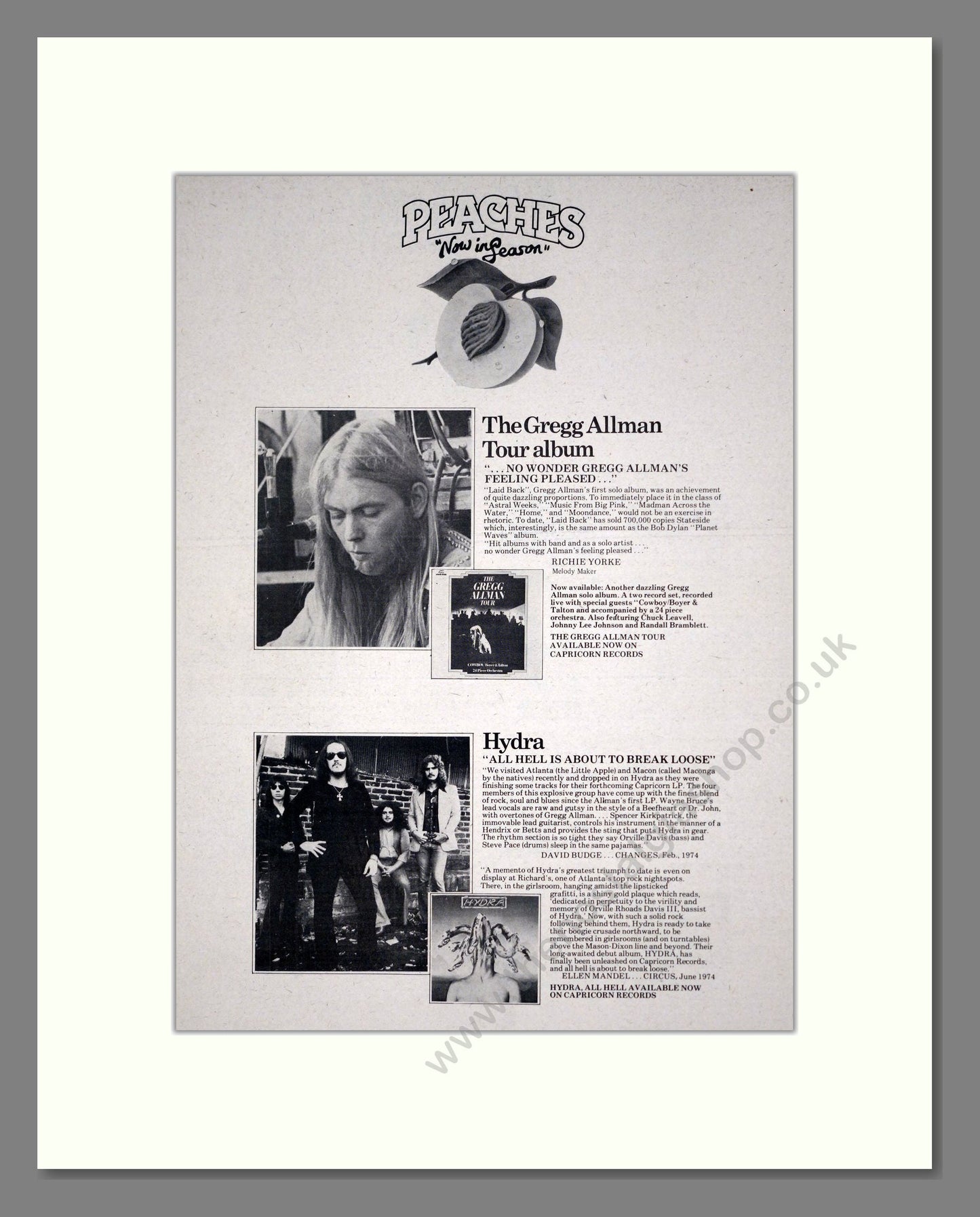 Peaches - Gregg Allman / Hydra (2 Albums). Vintage Advert 1974 (ref AD20061)