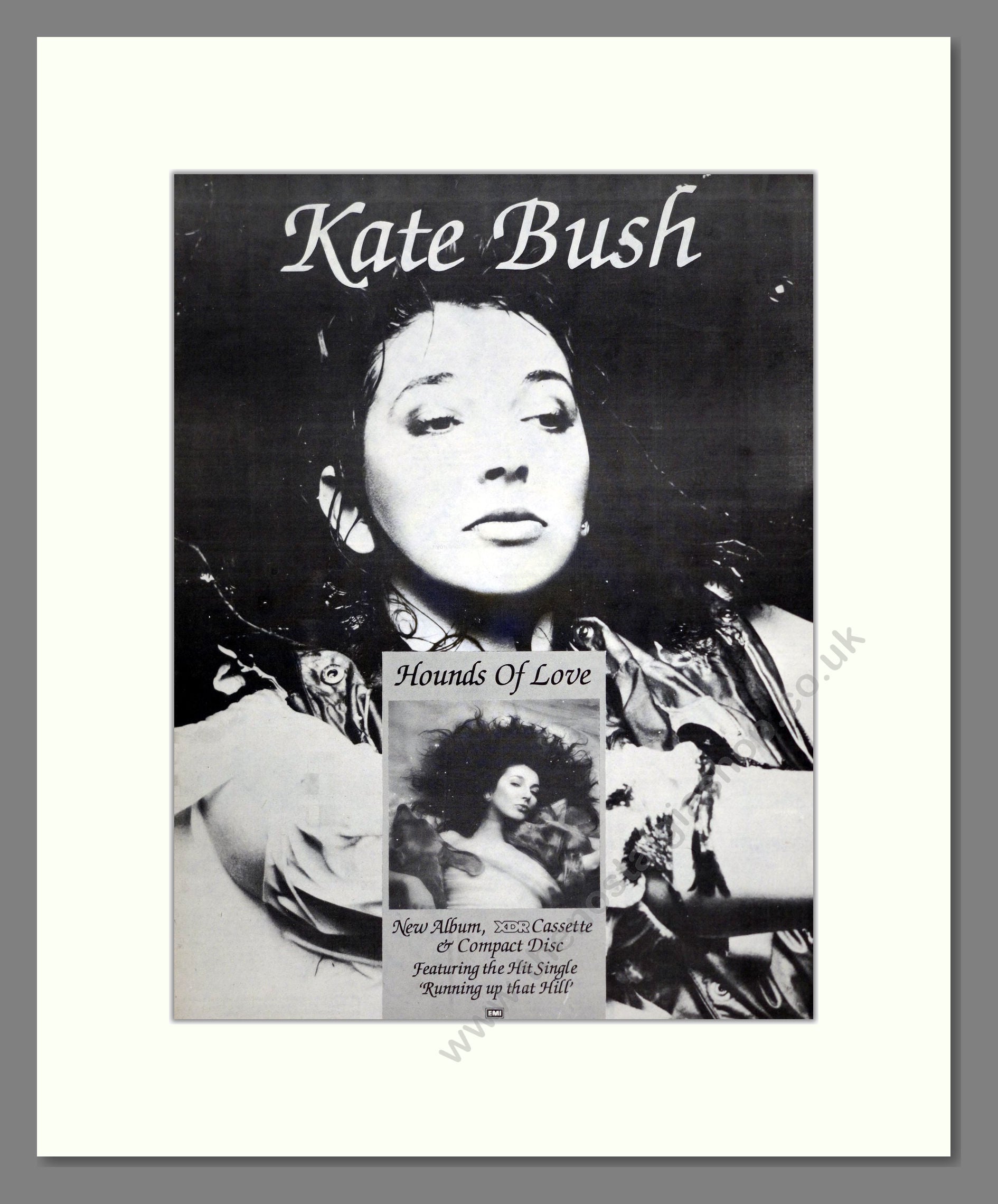 Kate Bush - Hounds Of Love. Vintage Advert 1985 (ref AD20066)