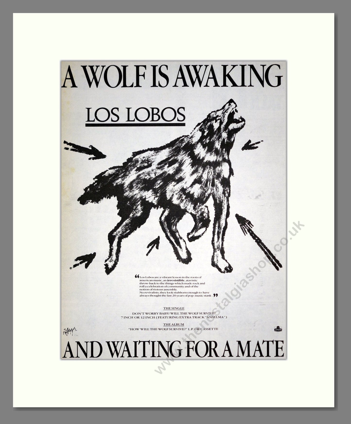 Los Lobos - A Wolf Is Awaking. Vintage Advert 1985 (ref AD20094)