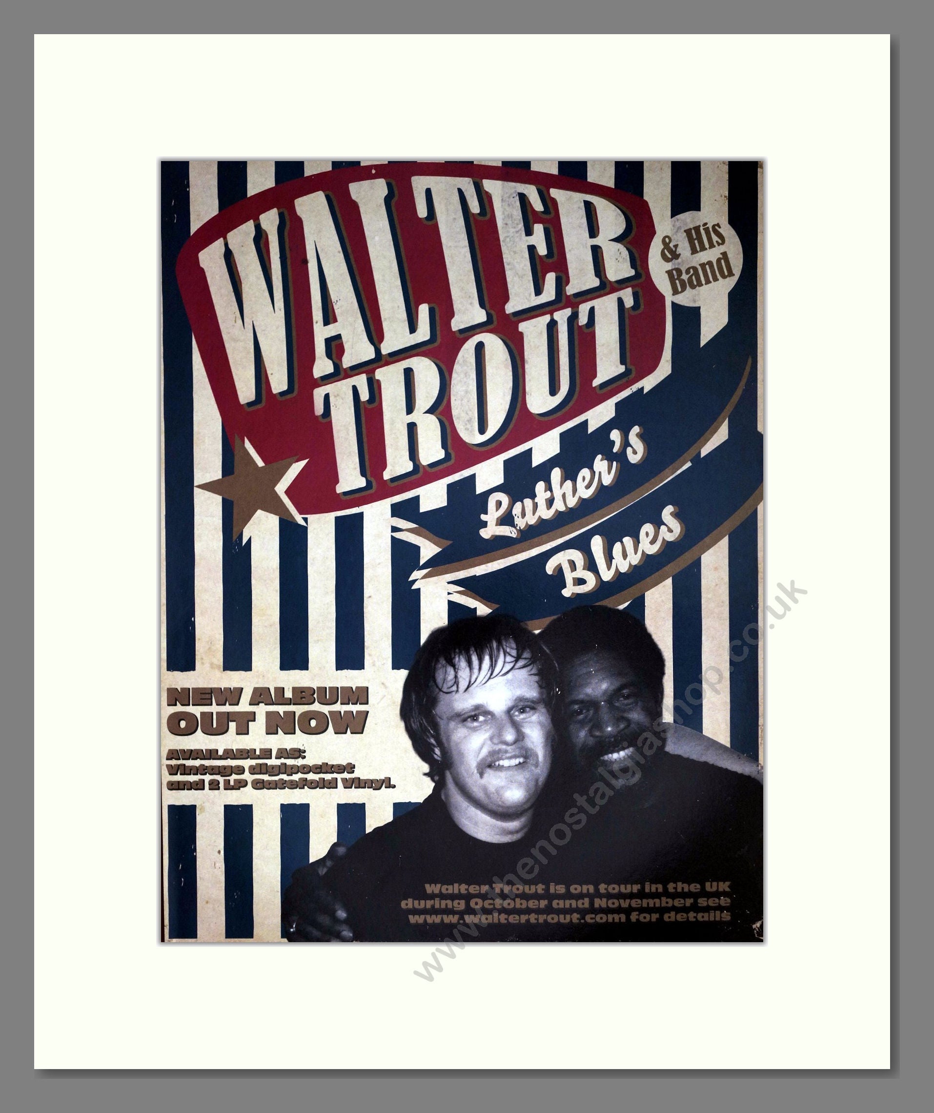 Walter Trout - Luther's Blues. Vintage Advert 2013 (ref AD63386)