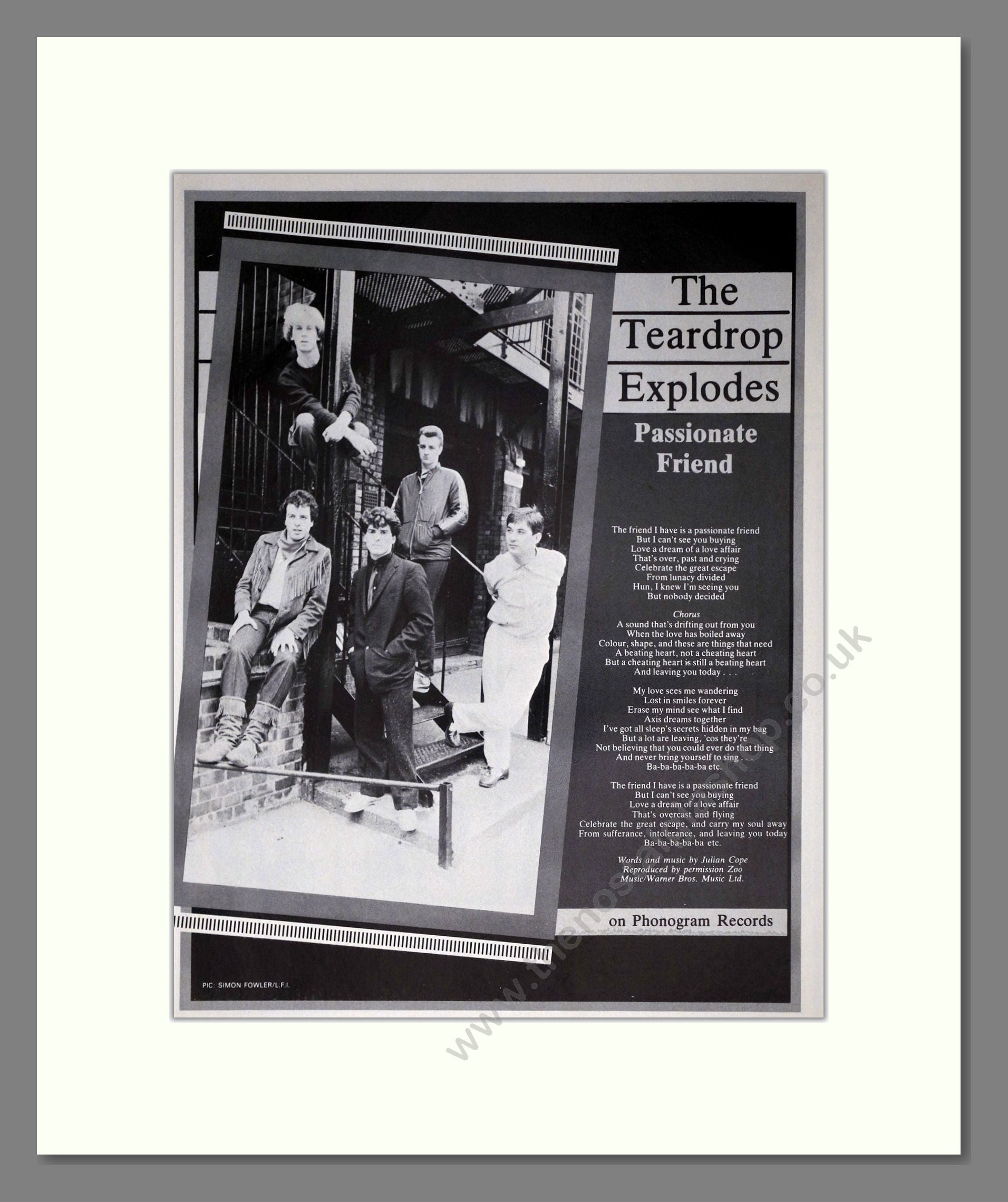 Teardrop Explodes (The) - Passionate Friend. Vintage Advert 1981 (ref AD63504)