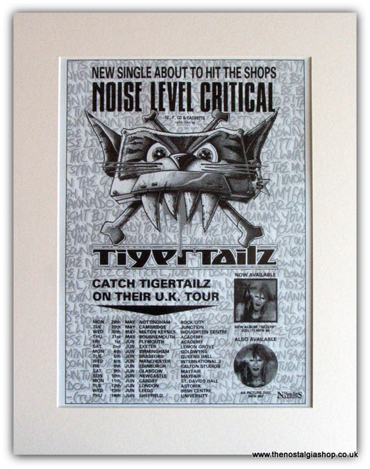 Tigertailz UK Tour Advert 1990 (ref AD1762)