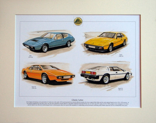 Lotus Classic cars 1974 - 93  Mounted Print