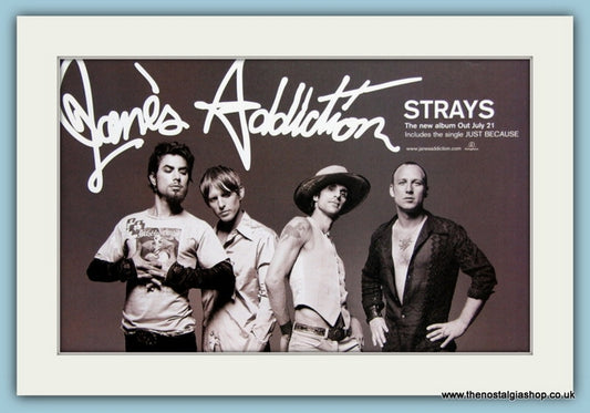 Jane's Addiction Strays Original Advert 2003 (ref AD1947)