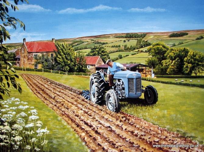 Ferguson TE - 20 Grey. Tractor print (ref N52)