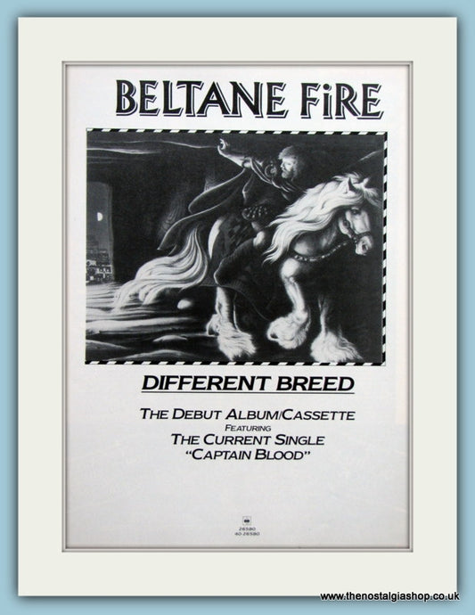 Beltane Fire Different Breed & Fortune Favours The Brave Set Of 2 Original Music Adverts 1985 (ref AD3509)