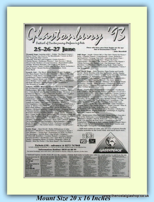 Glastonbury Festival 1993 Original Advert (ref AD9036)