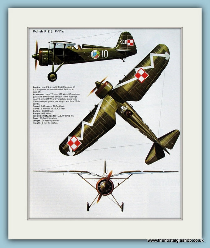 Polish P.Z.L. P-11c Aircraft. Print (ref PR583)