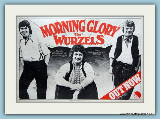 The Wurzels Morning Glory Original Advert 1976 (ref AD2091)