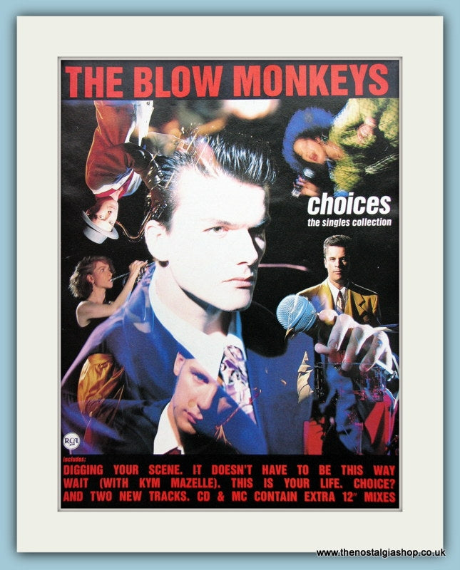 Blow Monkeys Choices The Singles Collection Original Music Advert 1989 (ref AD3465)