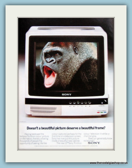 Sony Trinitron Colour TV Original Advert 1977 (ref AD3036)