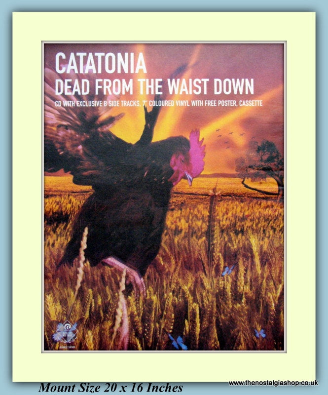 Catatonia Dead From The Waist Down Original Advert 1999 (ref AD9182)