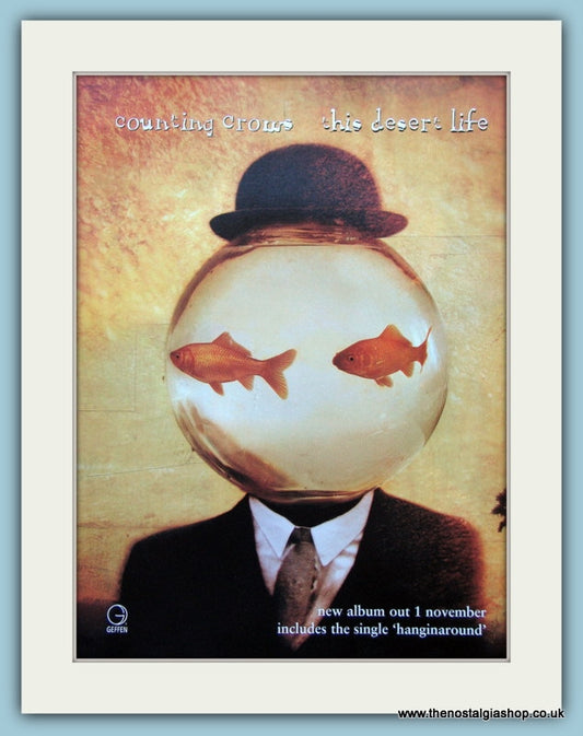 Counting Crows This Desert Life Original Advert 1999 (ref AD4063)