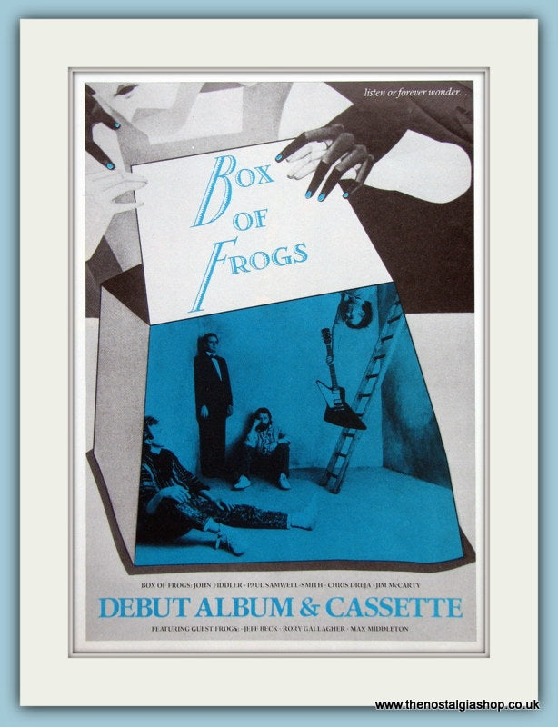 Box Of Frogs Debut Album  Original Music Advert 1984 (ref AD3583)