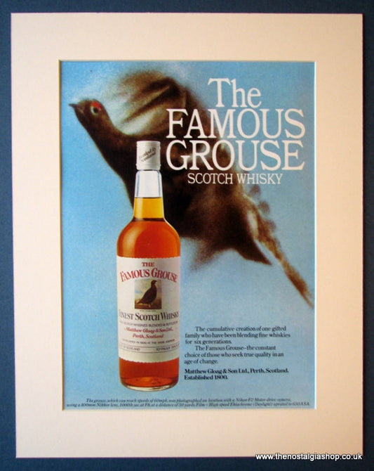 The Famous Grouse Scotch Whisky. Original advert 1975 (ref AD1171)