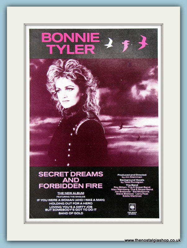 Bonnie Tyler Secret Dreams And Forbidden Fire 1986 Original Advert (ref AD3328)