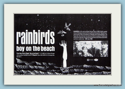 Rainbirds Original Advert 1988 (ref AD1889)