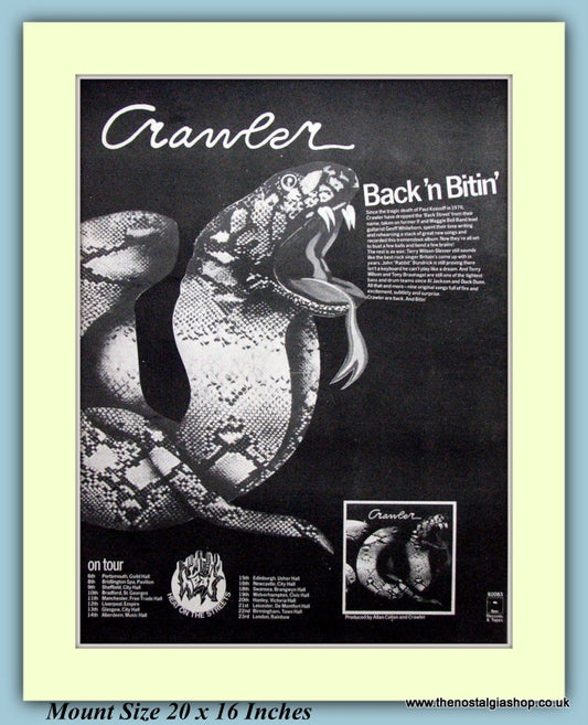 Crawler Back'n Bitin' Original Advert 1977 (ref AD9257)