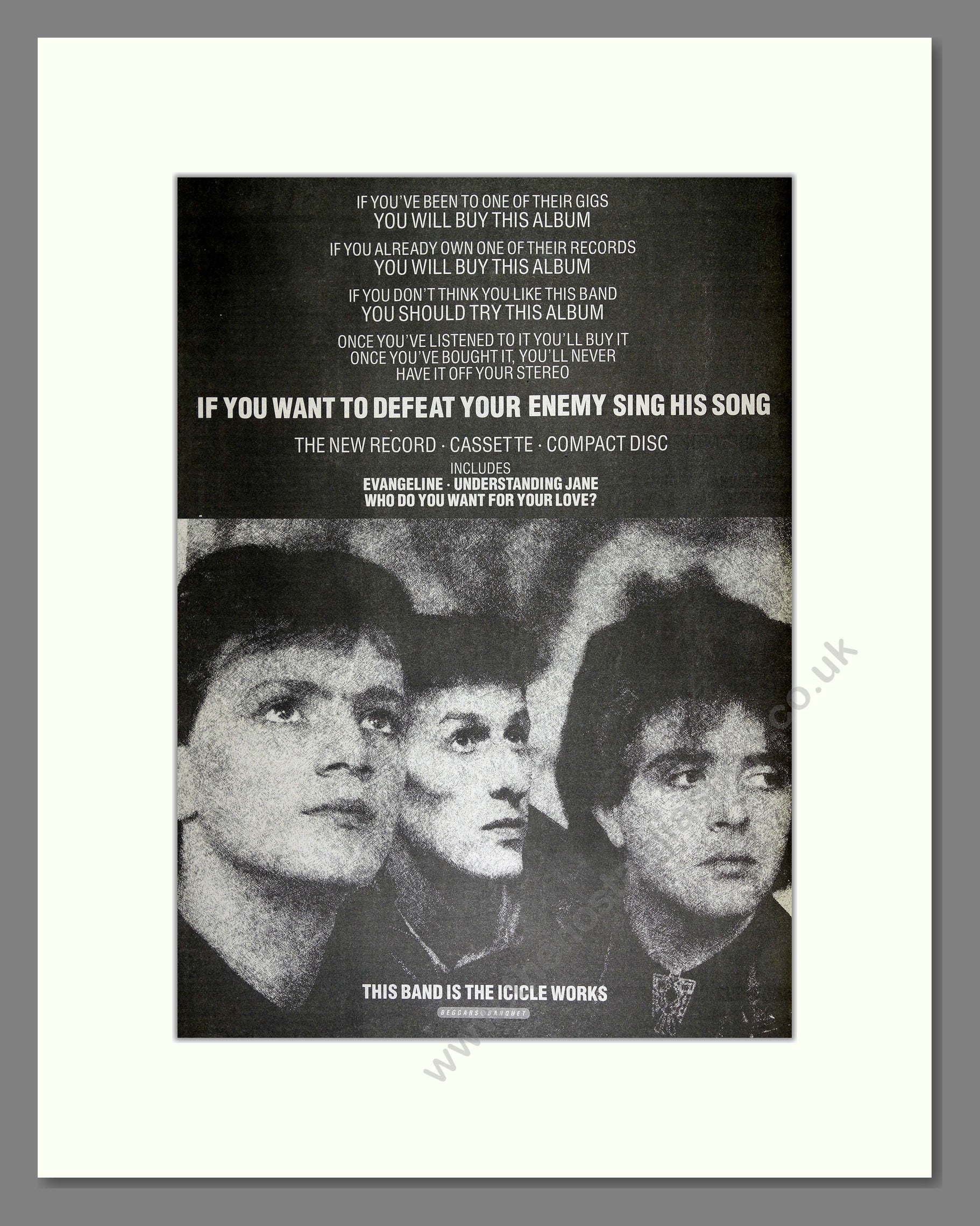 Icicle Works (The) - If You Want To Defeat Your Enemy Sing His Song. Vintage Advert 1987 (ref AD16444)