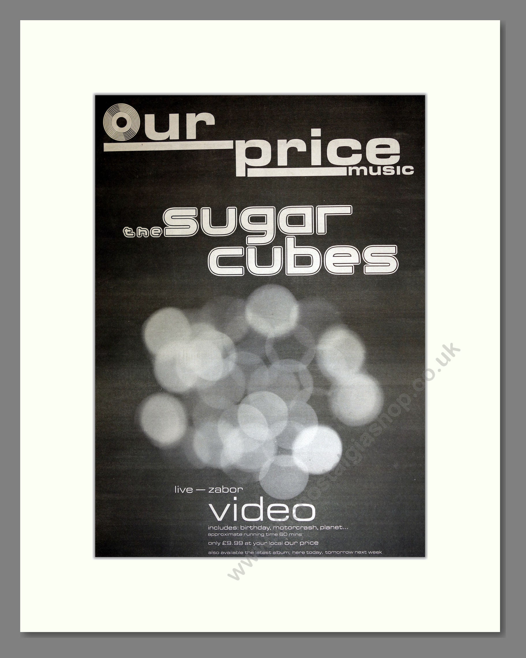 Sugar Cubes - Live Zabor. Vintage Advert 1989 (ref AD16833)