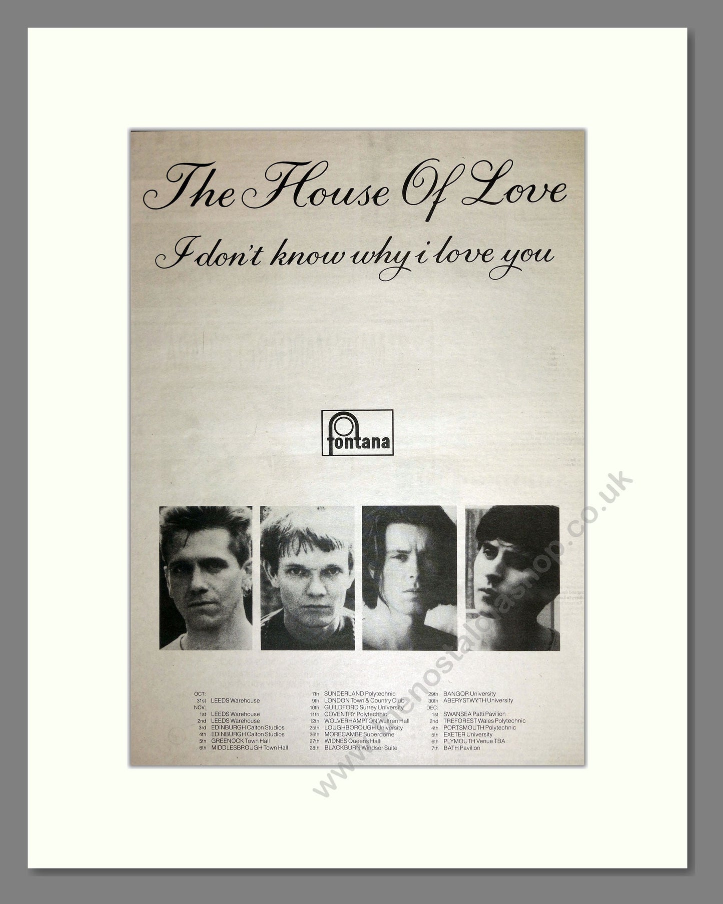 House Of Love (The) - I Don't Know Why I Love You. Vintage Advert 1989 (ref AD16908)