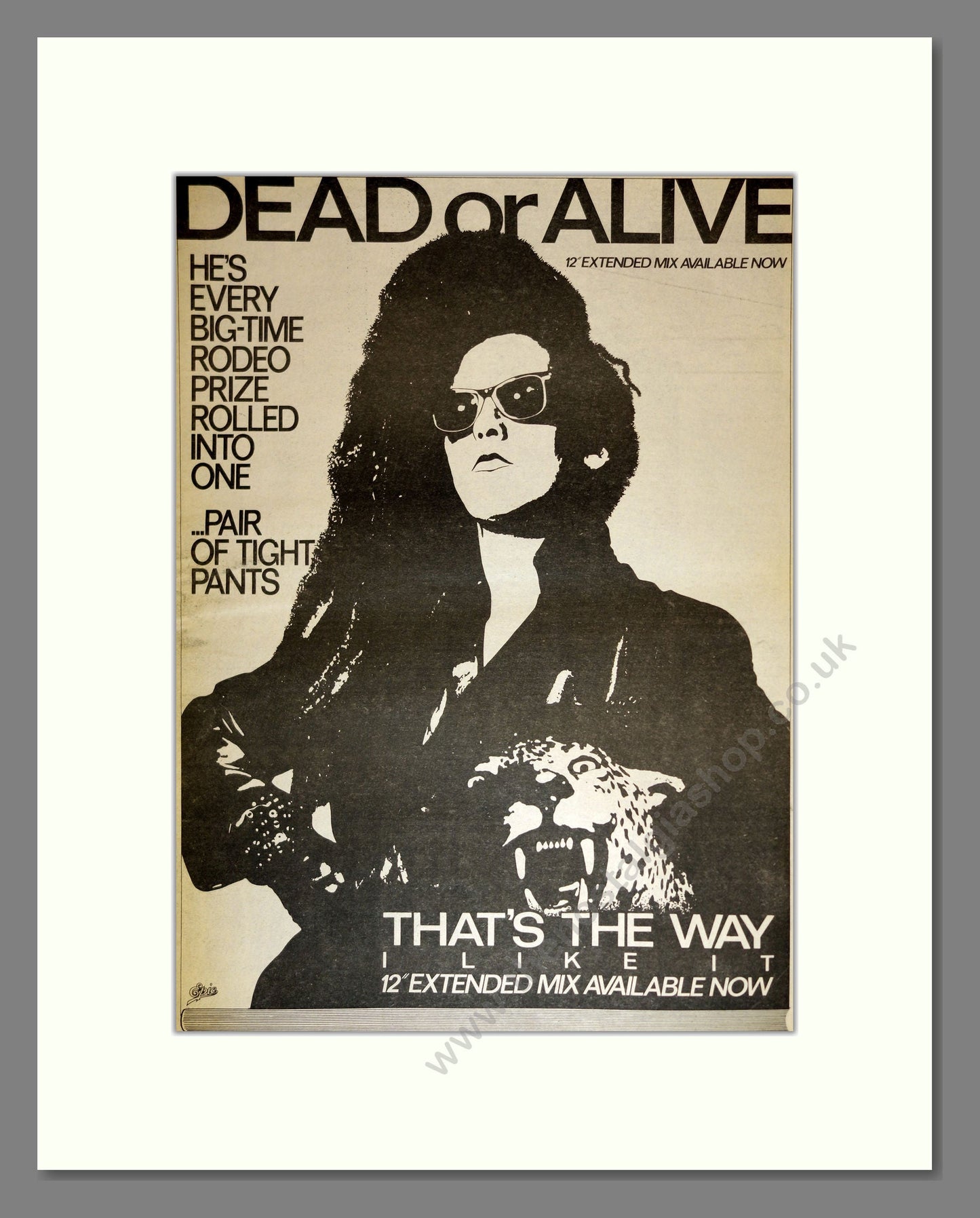 Dead Or Alive - That's The Way. Vintage Advert 1984 (ref AD17007)