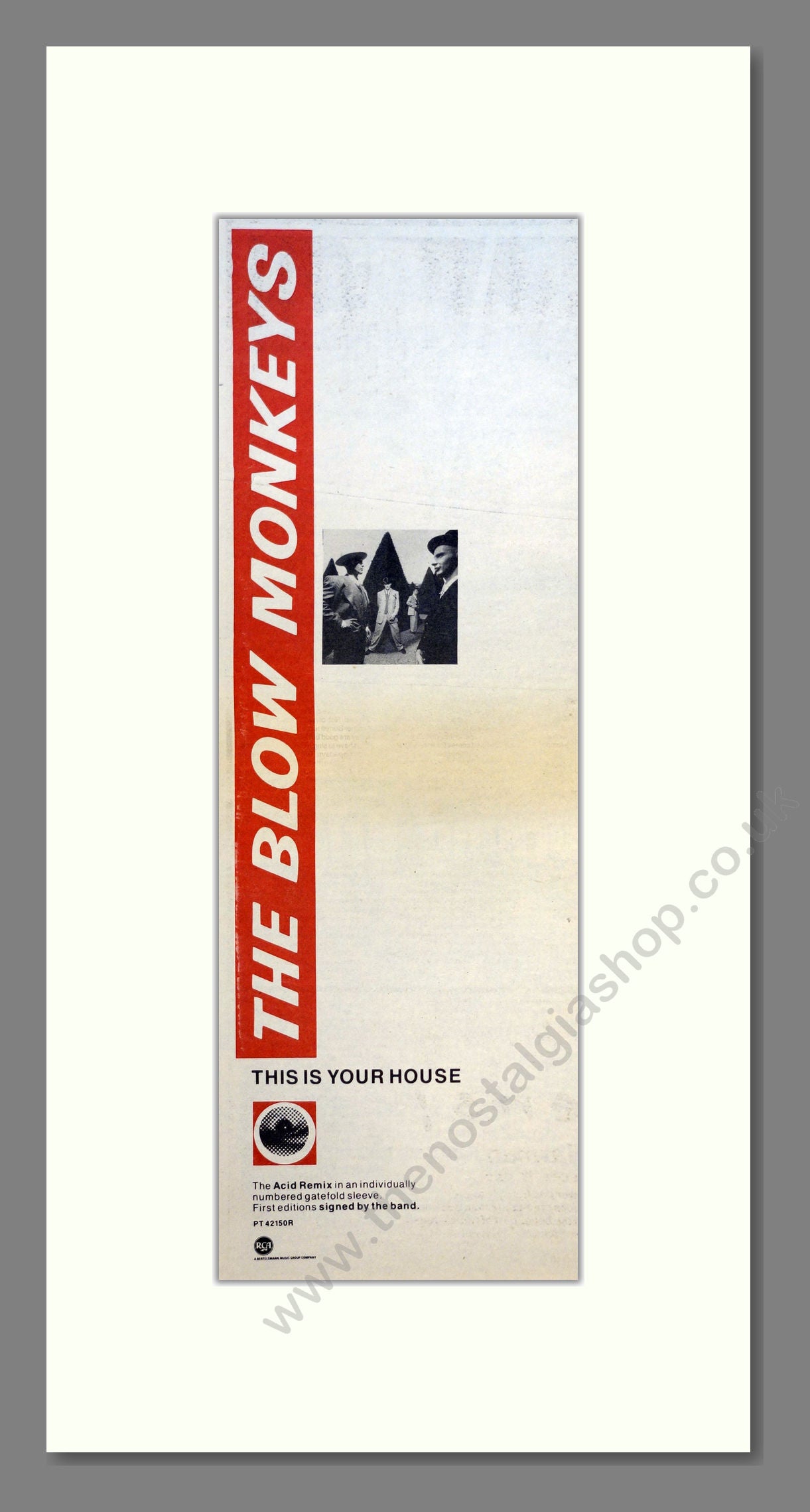 Blow Monkeys (The) - This Is Your House. Vintage Advert 1988 (ref AD200872)