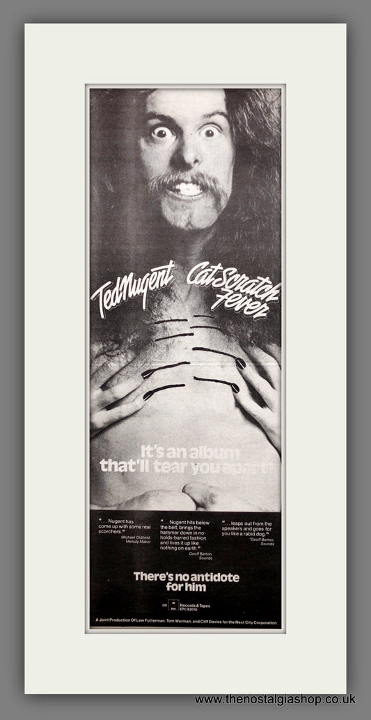 Ted Nugent. Cat Scratch Fever. Original Advert 1977 (ref AD200296)